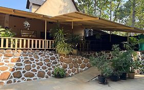 Chikoo Farm Inn